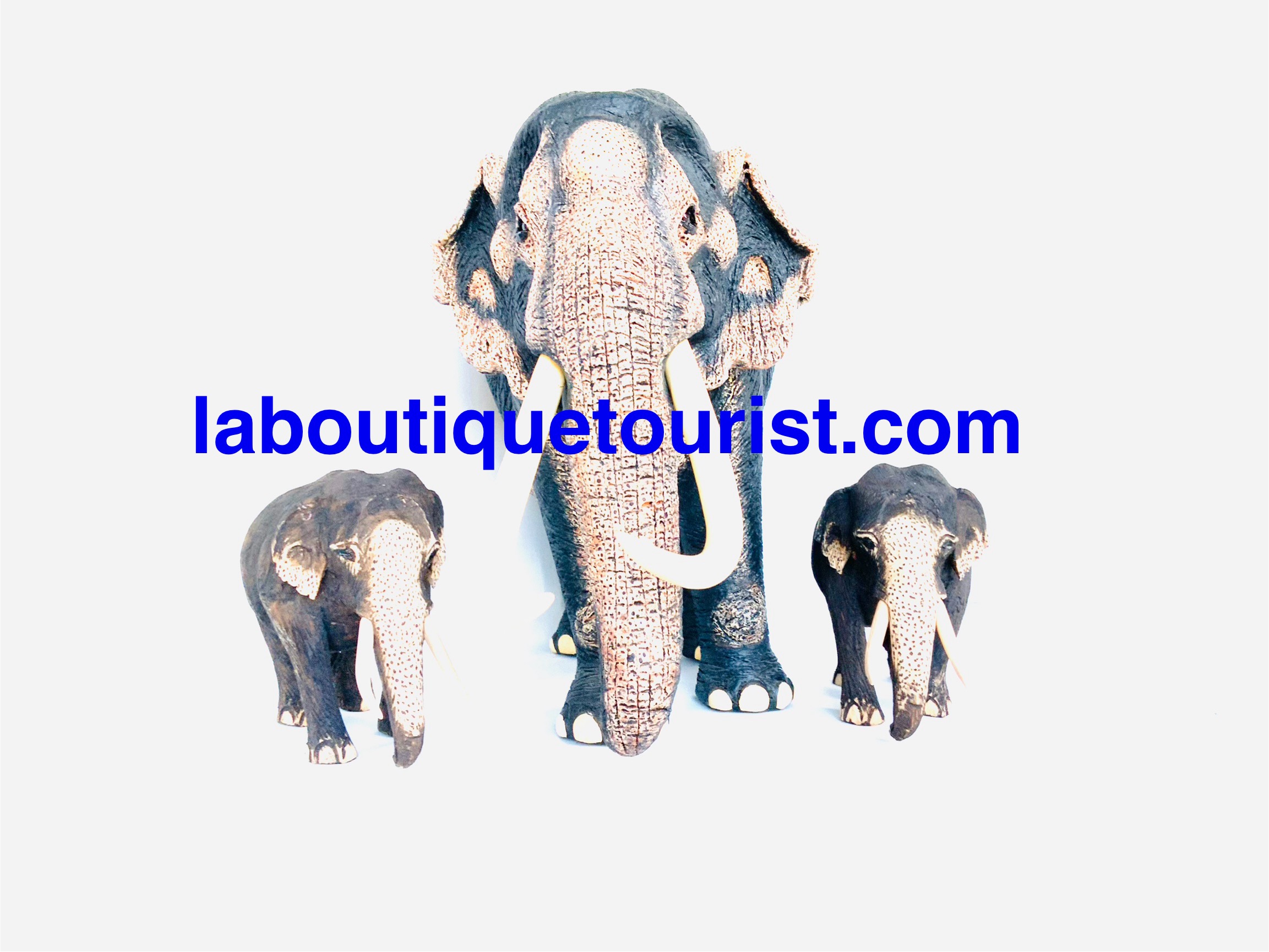 carvings elephant - Image 6