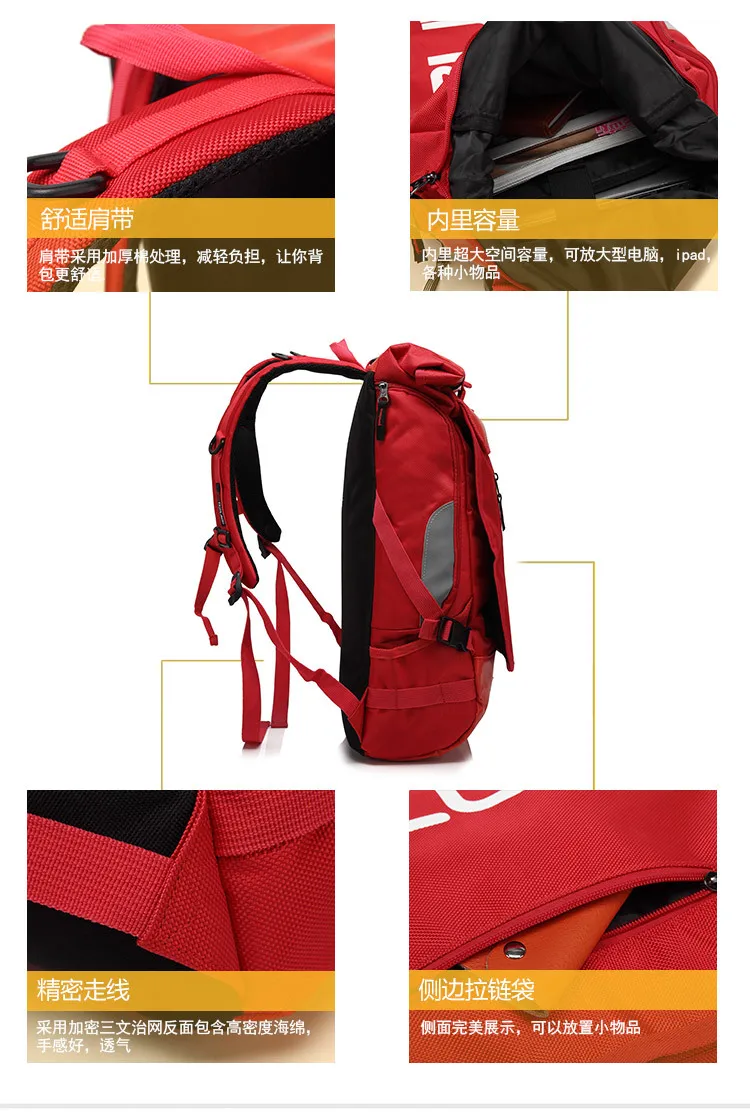 s717b485f79034459b247e98b82ee2ec8z 1.webp