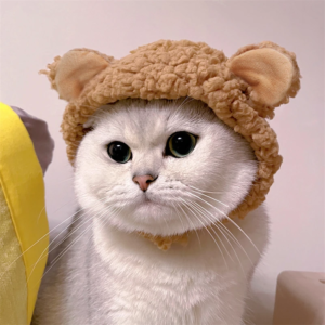 cute bear shaped hat for cat christmas protective pet dogs cosplay head wear york solid color winter kitten costume accessories