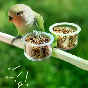 parrot food bowl feeder cup with clip small pet bird feeder water bowl bird cage feeder pet feeding basin bracket accessories
