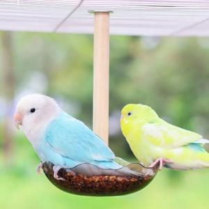 1 pc bird cage feeding cups top hanging parrot feeder round flower shaped bird feeder bowl for pet birds parrot cage accessories