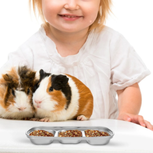 2pcs pet feeding trays multi grid fodder plates stainless steel small animal food dishes hamster accessories durable easy clean