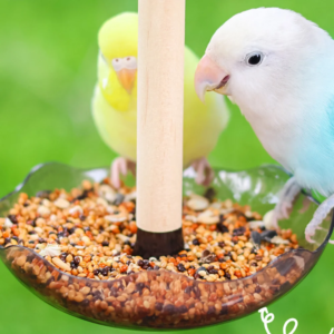 1 pc bird cage feeding cups top hanging parrot feeder round flower shaped bird feeder bowl for pet birds parrot cage accessories