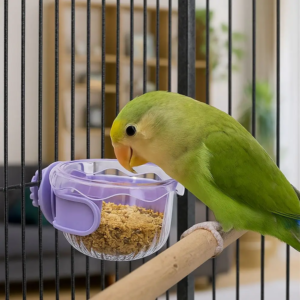 pet accessories hanging bird food bowl removable wide mouth parrot water bowl anti spill parrot feeding bowl household