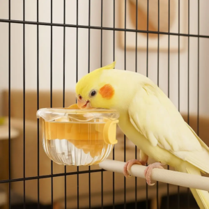 pet accessories hanging bird food bowl removable wide mouth parrot water bowl anti spill parrot feeding bowl household