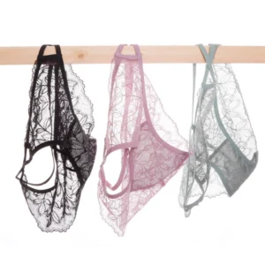 women see though panties lace floral briefs sexy mesh sheer underwear girl thongs breathable underwear thin comfort lingerie