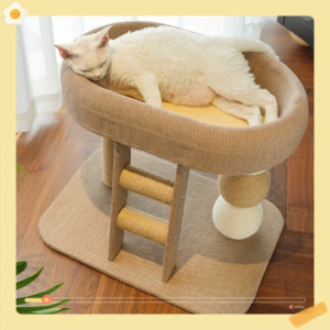 kf s6d91ff0a12c04d02876a387b9bdf618bl.webp