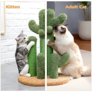 cactus cat scratching post,cactus cat tree,green cat scratcher with natural sisal rope, interactive dangling ball, cat furniture