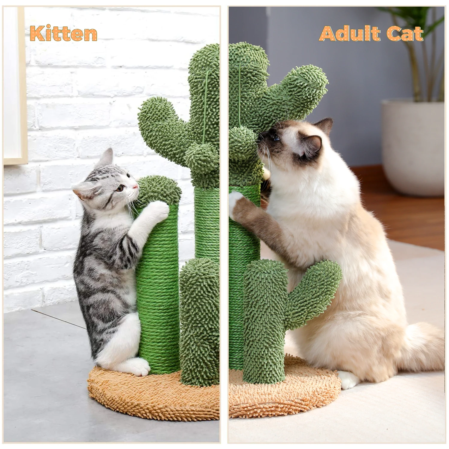 cactus cat scratching post,cactus cat tree,green cat scratcher with natural sisal rope, interactive dangling ball, cat furniture