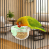 pet accessories hanging bird food bowl removable wide mouth parrot water bowl anti spill parrot feeding bowl household