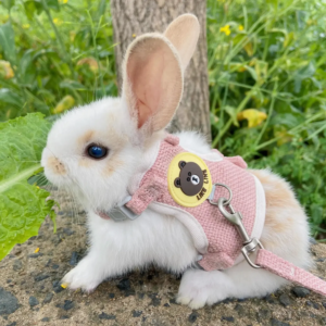 cute rabbit harness leash set bunny soft padded dog vest small puppy carrier teddy bear cat collar little pet walking