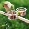 parrot food bowl feeder cup with clip small pet bird feeder water bowl bird cage feeder pet feeding basin bracket accessories