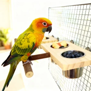 1set wood bird stand platform with single/double stainless steel feed bowl chew toy for pet bird parrot cage hanging accessories