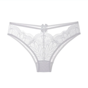 women's sexy underwear lace hollow comfortable briefs sexy french transparent panties low rise lingerie breathable underpants