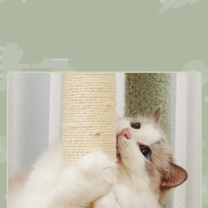 manufacturer wholesale cute design scratcher cat climbing tree