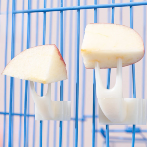 1 pcs bird parrot fruit fork pet supplies plastic food rack cage feeding pet supplies fruit snack fork bird cage accessories