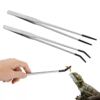 reptile feed tongs, stainless steel curved and straight set, pet accessory with rubber tips for aquarium