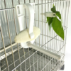 cockatiel budgie cage accessories pet small animals fruit cuttlebone clip feeding clamp parrot feeder bird food holders