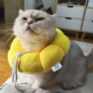 cat sunflower cotton neck sterilization feeding anti lick bite beauty head cover dog pet soft plush collar
